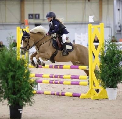 Inlägg 4 av Ardenner med titeln Erikan Jönköping 