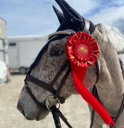 Inlägg 24 av Hoppning