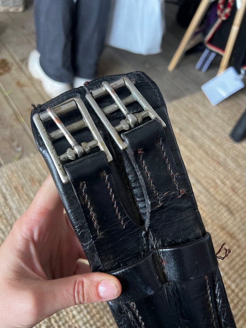 Bild 3 av Dressyrgjord