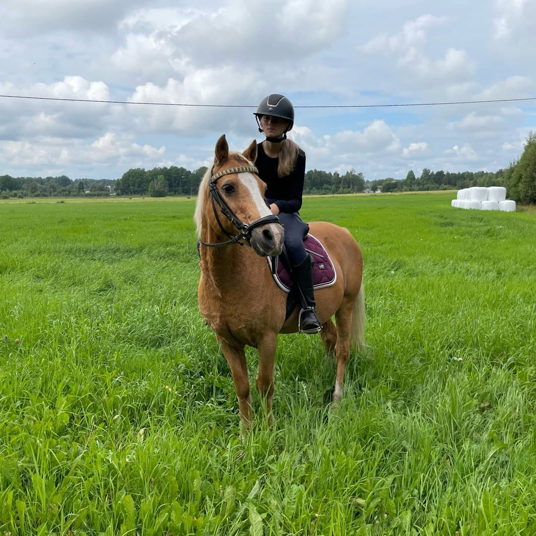 Bild 1 av Touch of gold