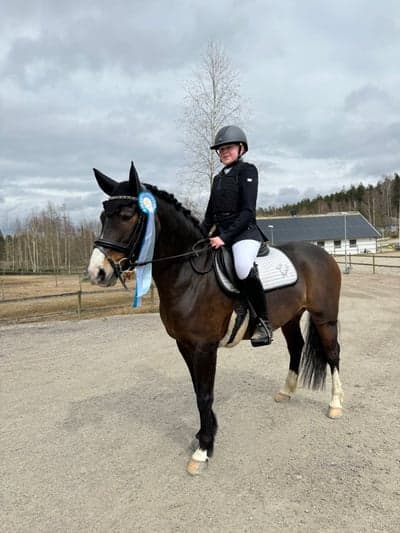 Inlägg 40 av Allround