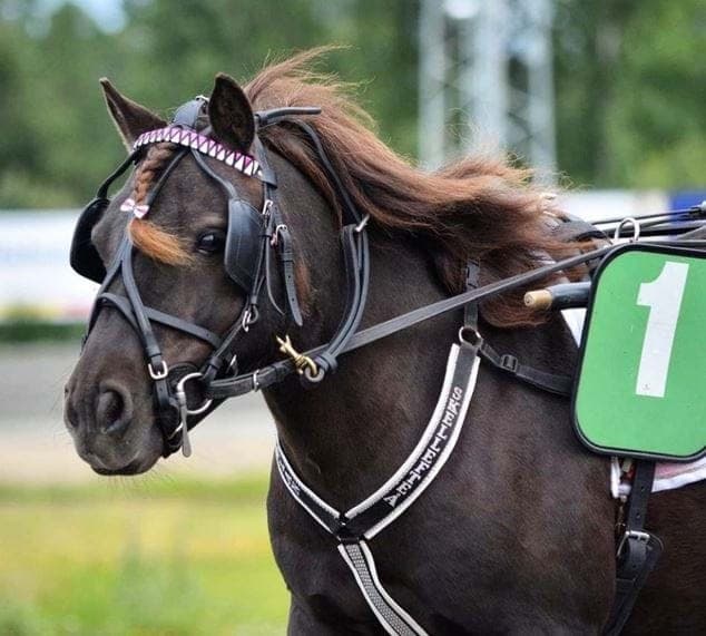 Media 1 av Dalgårds ulinda