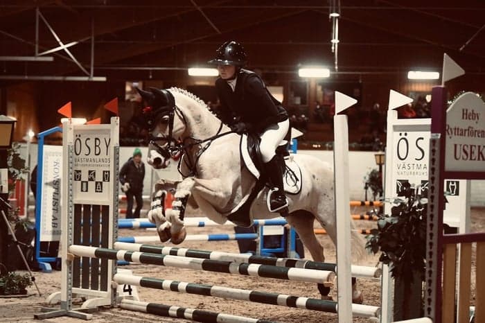 Media 1 av Dryfe Aristocrat