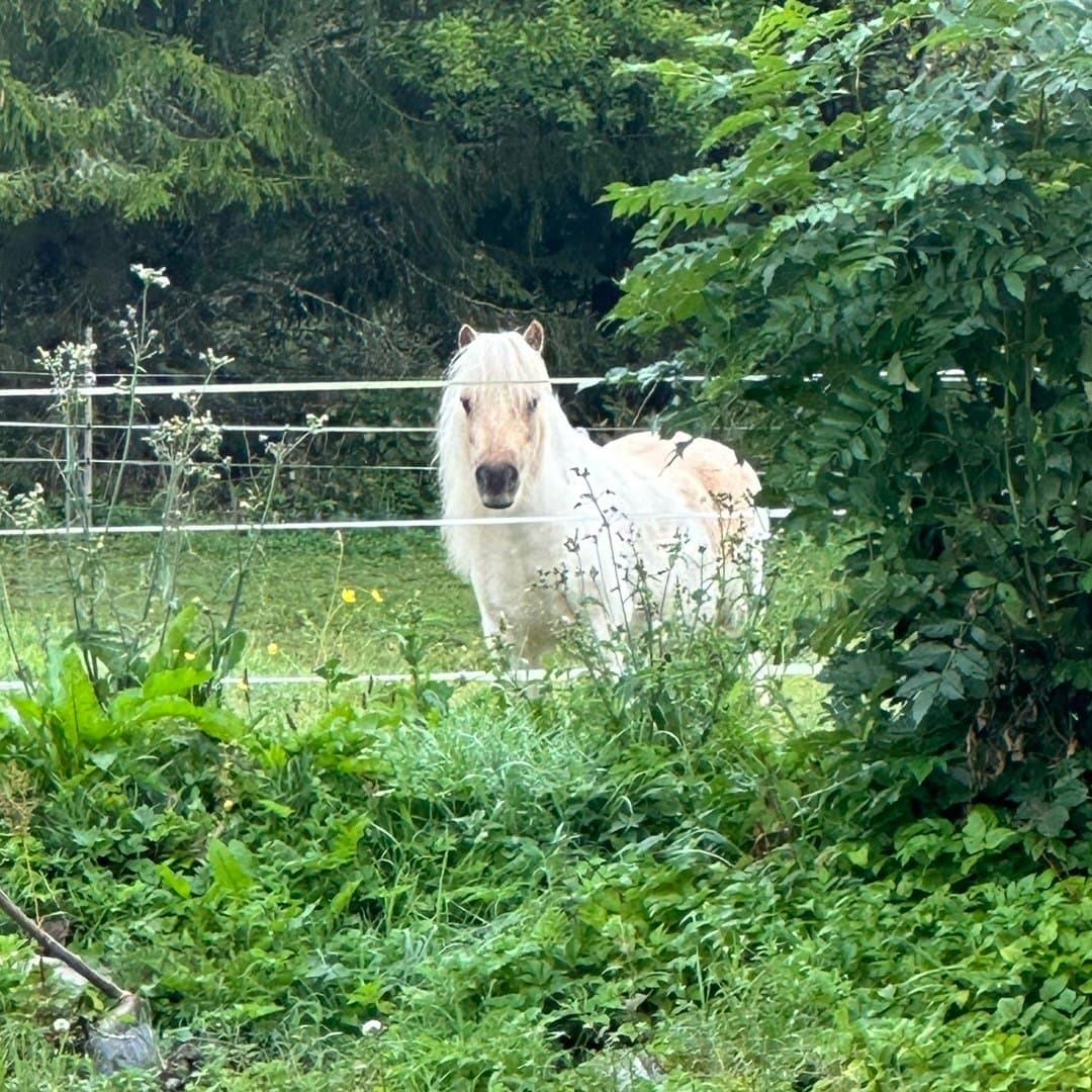 Bild 1 av Wild Cream Mustache