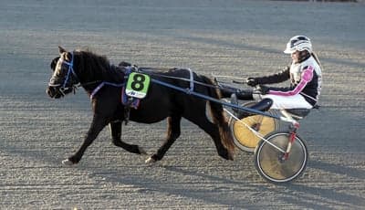 Inlägg 32 av Trav med titeln DPK’s Ponnytravgala 