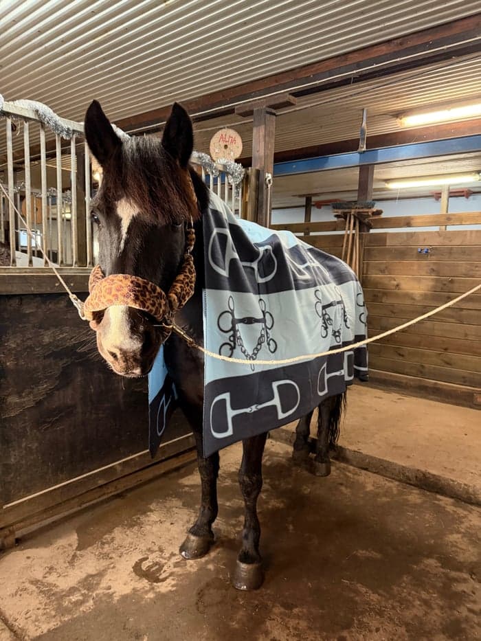 Media 9 av Dynamo Harry