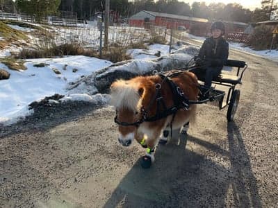 Inlägg 37 av Allround med titeln En tur i solen! 