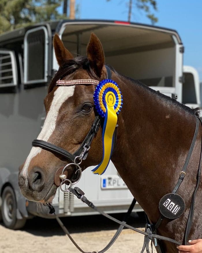 Media 1 av Aughavannon Margurite