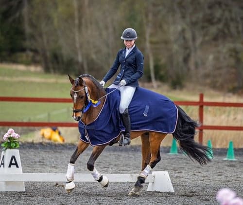 Bild av FEI ponny med Power 💥