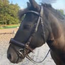 Profilbild av Drumlohans barney