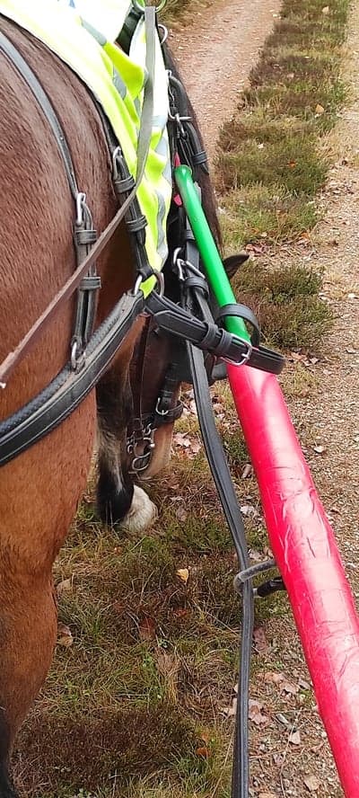 Inlägg 21 av Parasport med titeln Fika