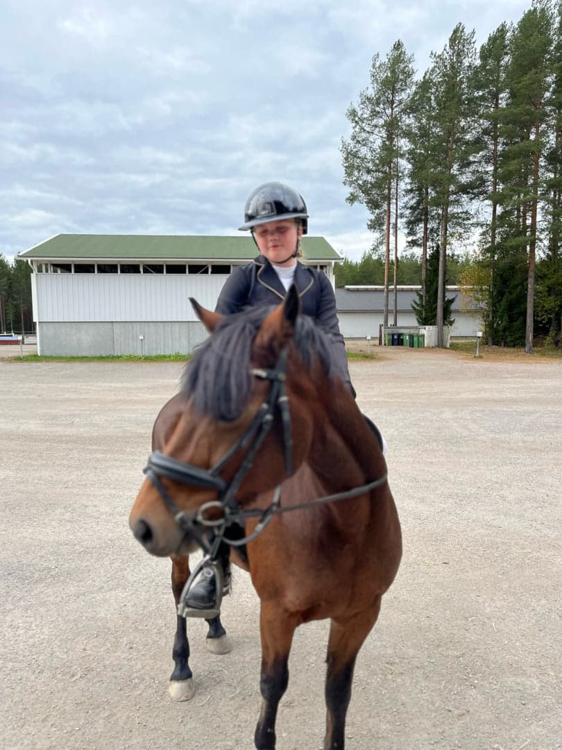 Bild 1 av Frics jatzy