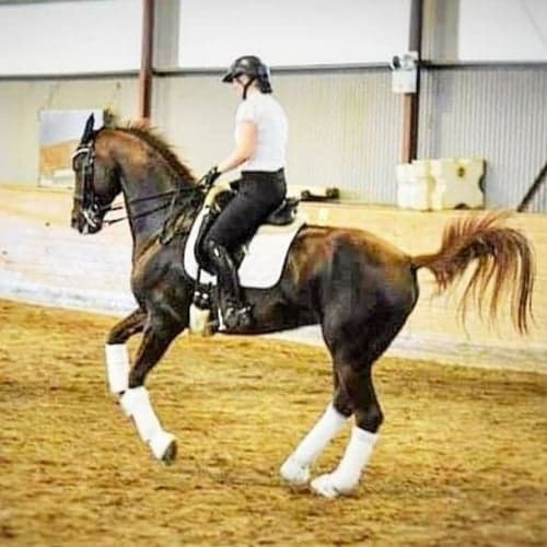 Profilbild av Maria Olofsson