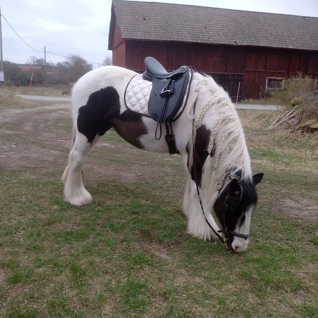 Bild 1 av placeholder text