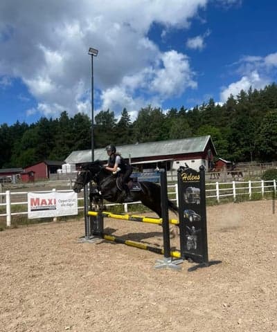 Inlägg 116 av Allround