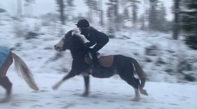 Inlägg 13 av Galopp med titeln 🏇🏿🏇🏿