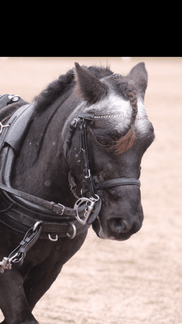 Media 1 av Almnäs Kanon