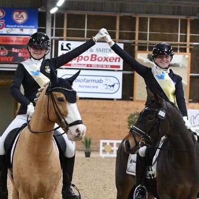 Post 12 of German Riding Pony with title SIHS semifinal 