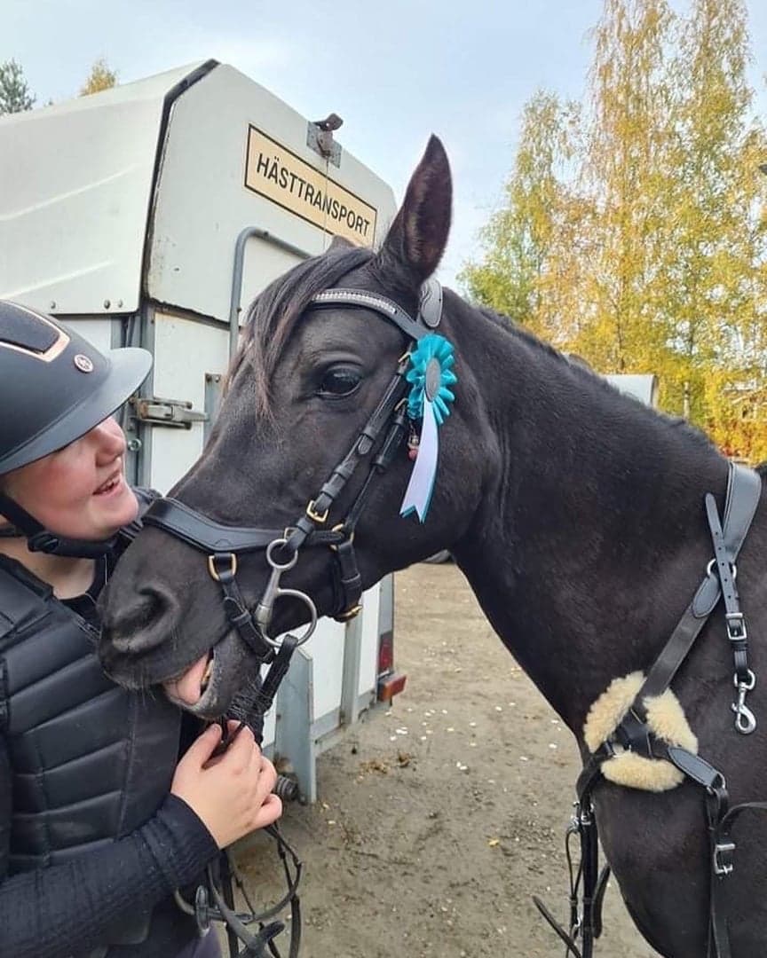 Bild 1 av Oh Knight Divine