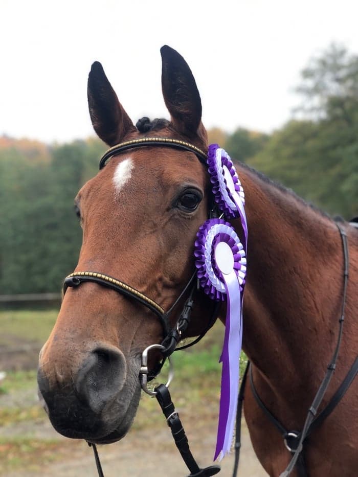 Media 1 av My Sign Brizard