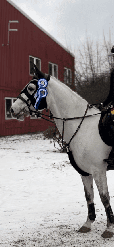 Inlägg 32 av Hoppning