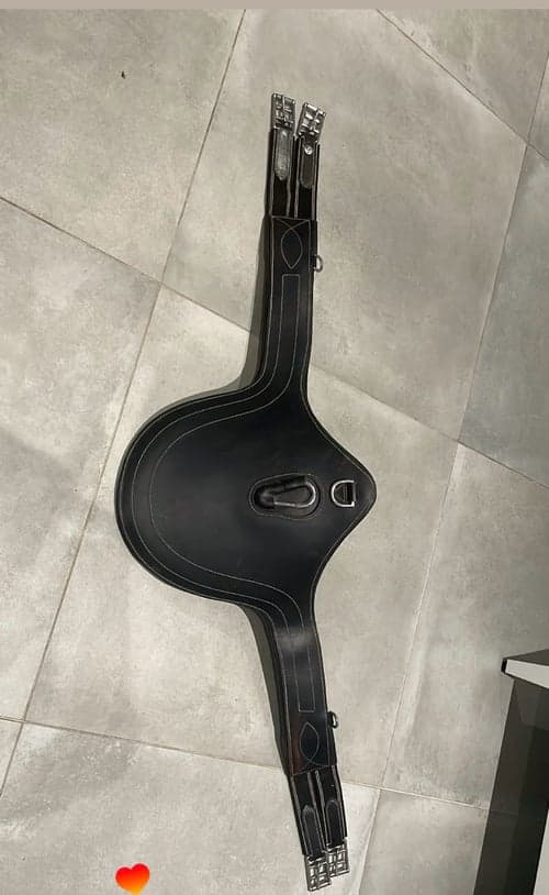 Bild av Svart sadelgjord