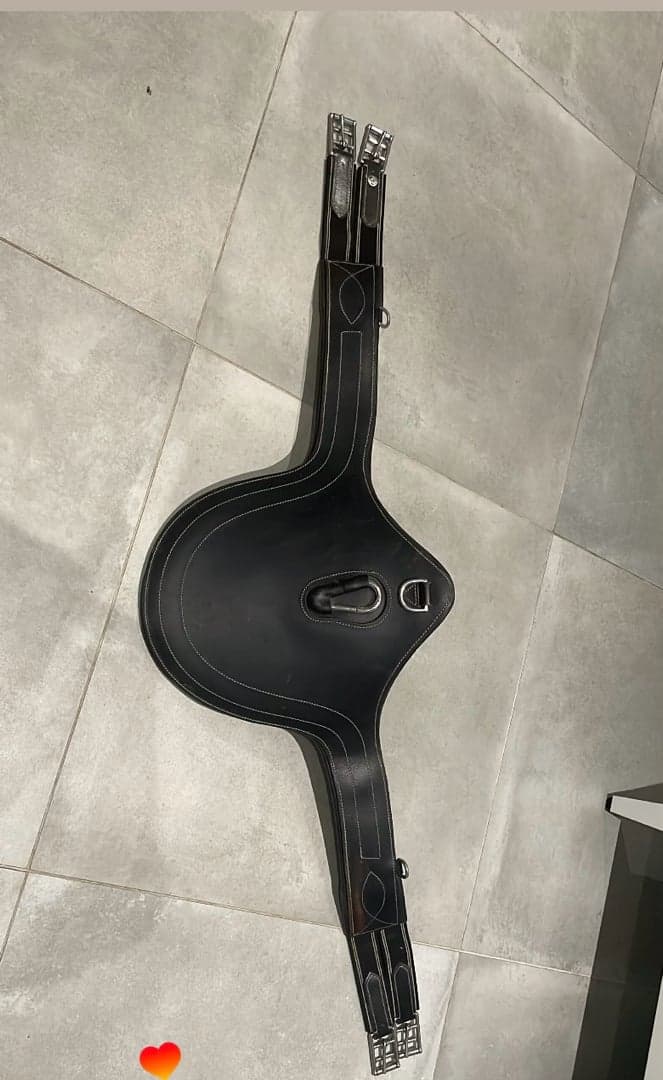 Media 1 av Svart sadelgjord