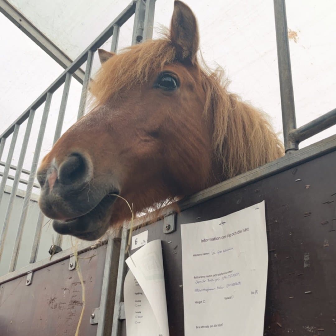 Bild 1 av Ua från kvarnbacka