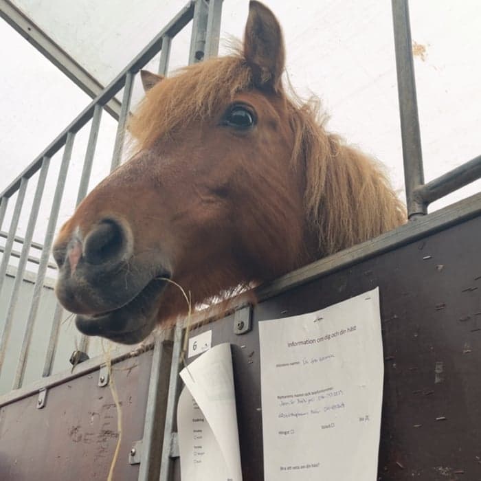 Media 1 av Ua från kvarnbacka