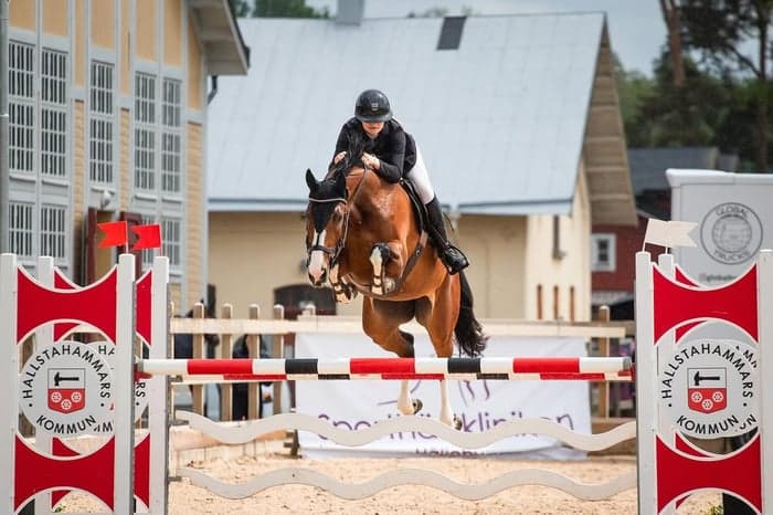 Media 3 av Quality of Darena WD Z