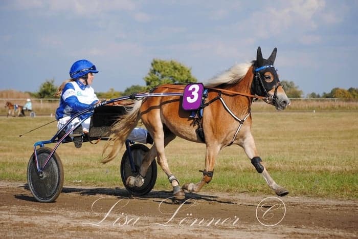 Media 1 av Brunskogs Vilja