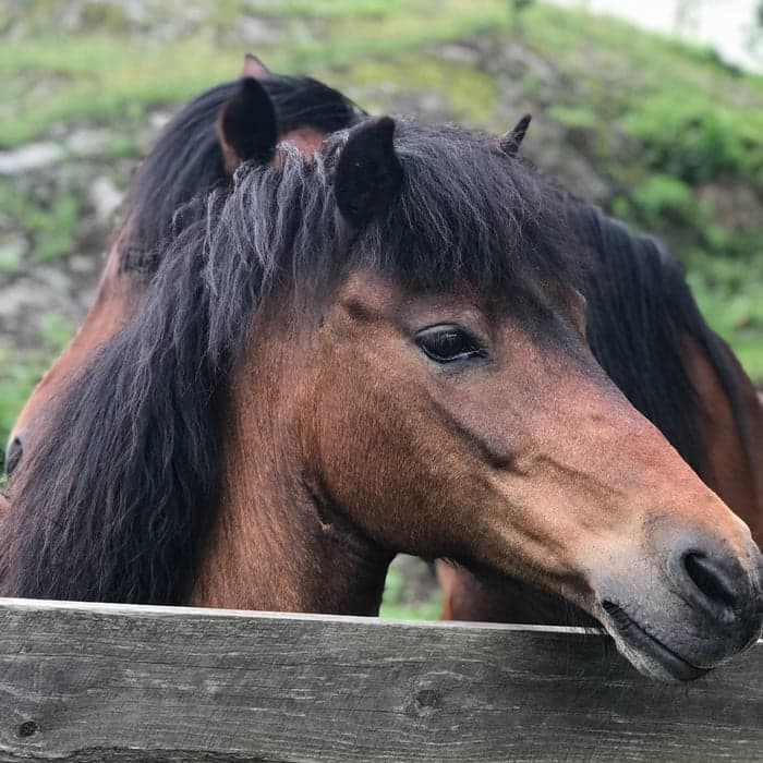 Media 1 av Axxas Exit