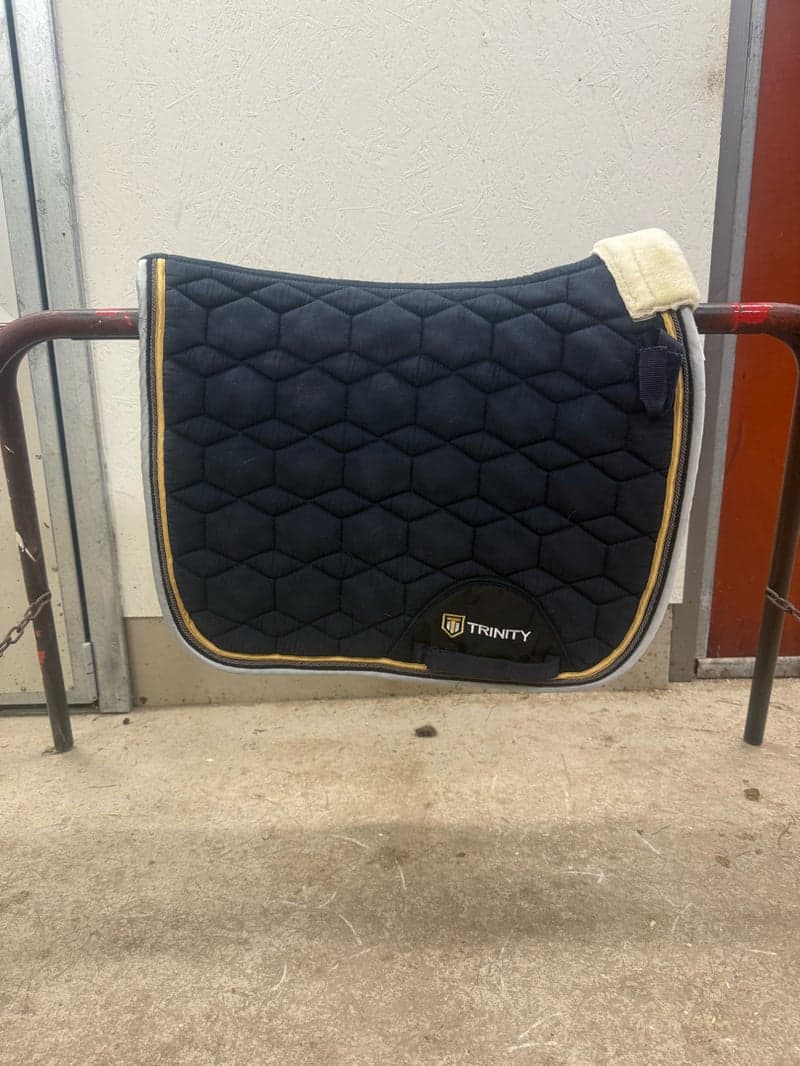 Bild 3 av JULKLAPPSTIPS!🎅 Marinblått dressyrschabrak i strl COB från Trinity