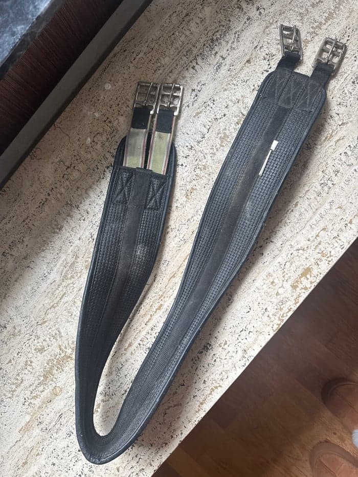 Media 1 av Svart sadelgjord