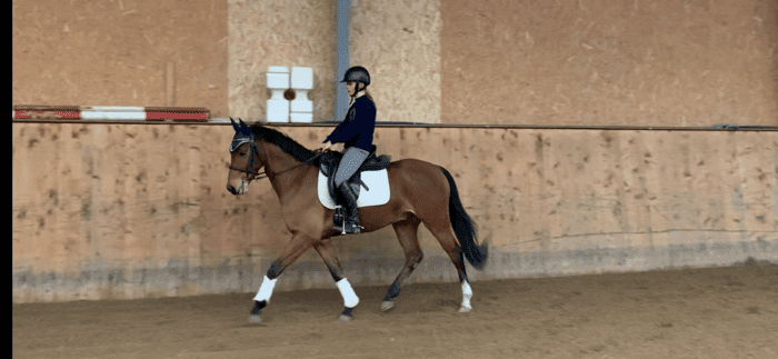 Media 6 av Stenninge Smokey