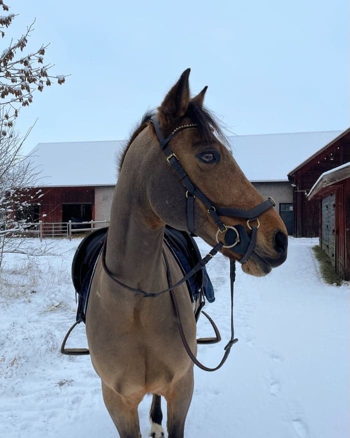 Media 1 av Fölseryd Zuper Duper