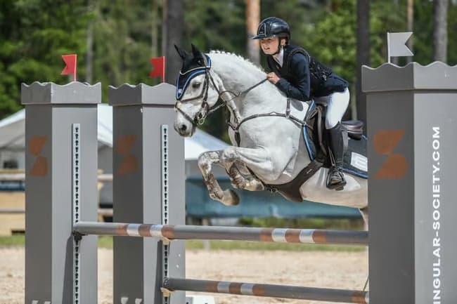 Upptäck alla fina connemaraponnys!