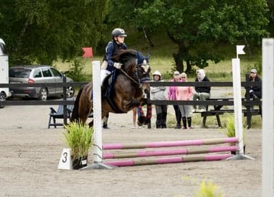 Inlägg 10 av Allround med titeln Hopptävling 