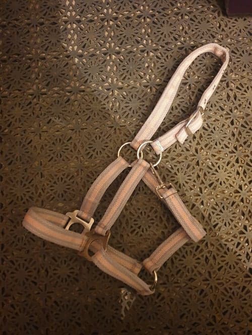 Image of Pink Halter