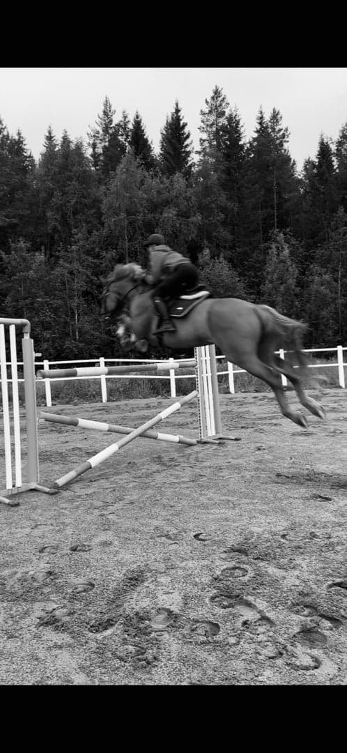 Bild 2 av placeholder text