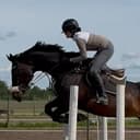 Profilbild av Rim Alattar