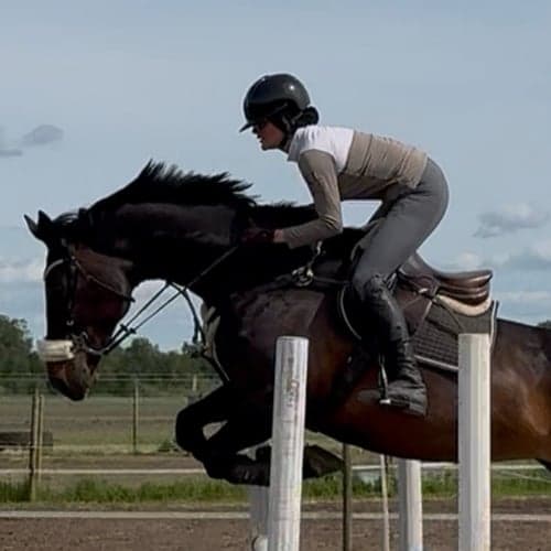 Profilbild av Rim Alattar