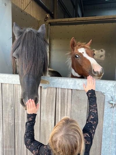 Inlägg 155 av Allround med titeln Nu har Swoppan och lille Billy kommit hem! 