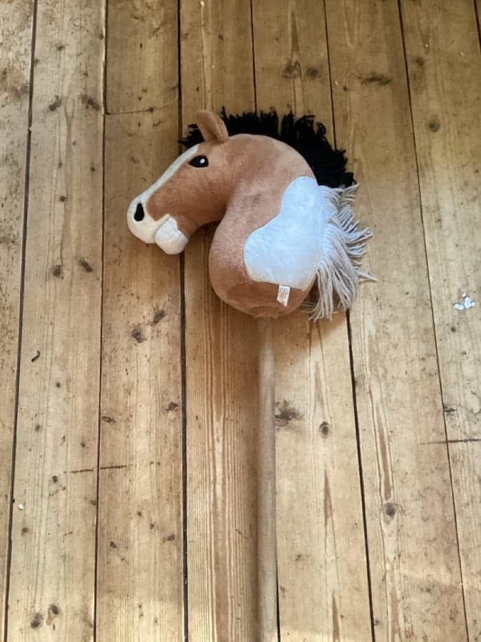 Media 1 av Brun,vit käpphäst 