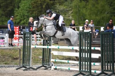 Inlägg 42 av Allround