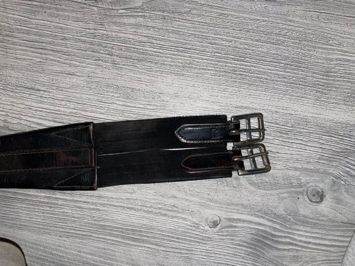 Media 2 of Svart sadelgjord