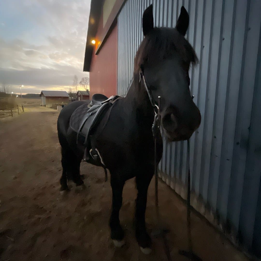 Bild 1 av Haukeli Tora