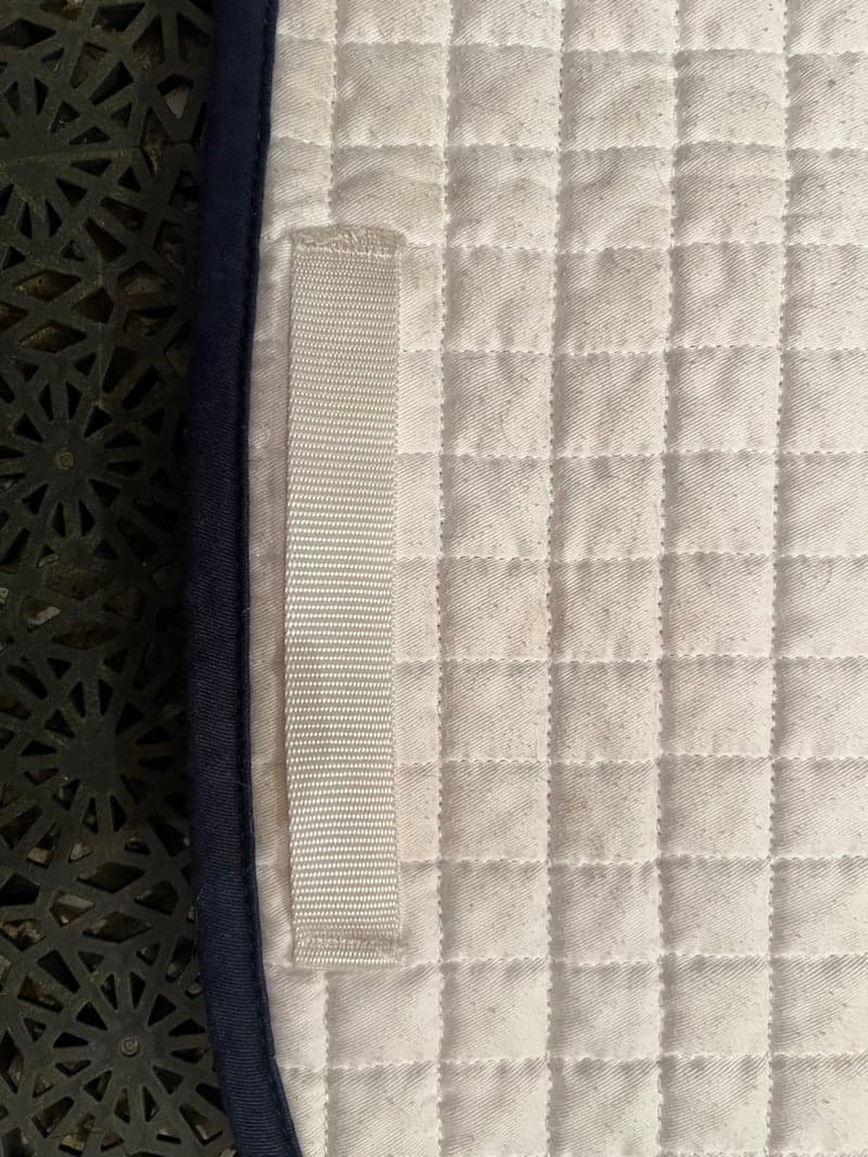 Bild 3 av Vitt schabrak från Hippo