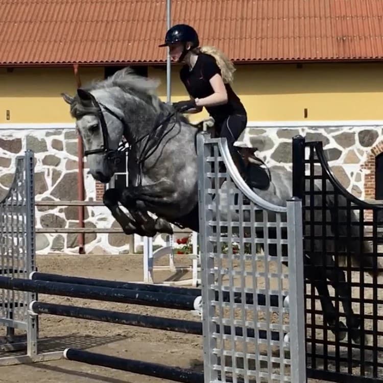 Image 1 of Knockbridge Snow White