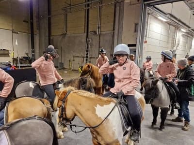 Inlägg 104 av Galopp med titeln Friends 